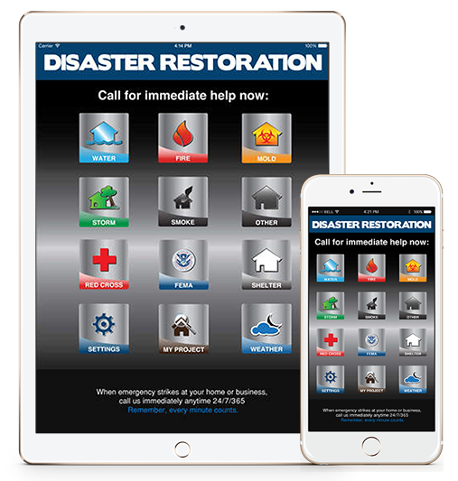 Desaster Restpration App